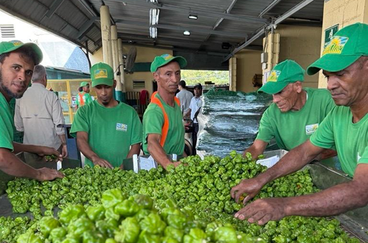 Operaciones de exportación