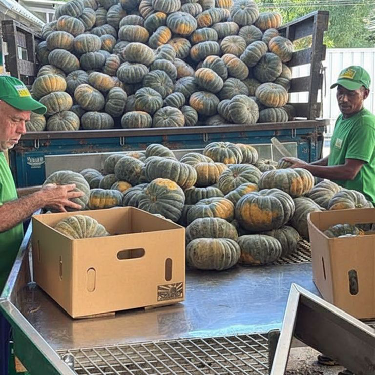 Campo de exportación Serafino